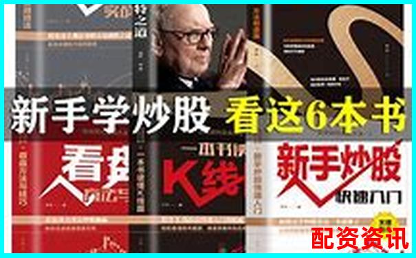 杠桿炒股實(shí)戰(zhàn)指南 從入門到精通的操盤技巧-配資平臺(tái)的真假交易怎么查