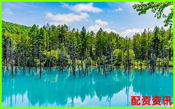 國內(nèi)配資APP排行榜Top10盤點，實測評分出爐